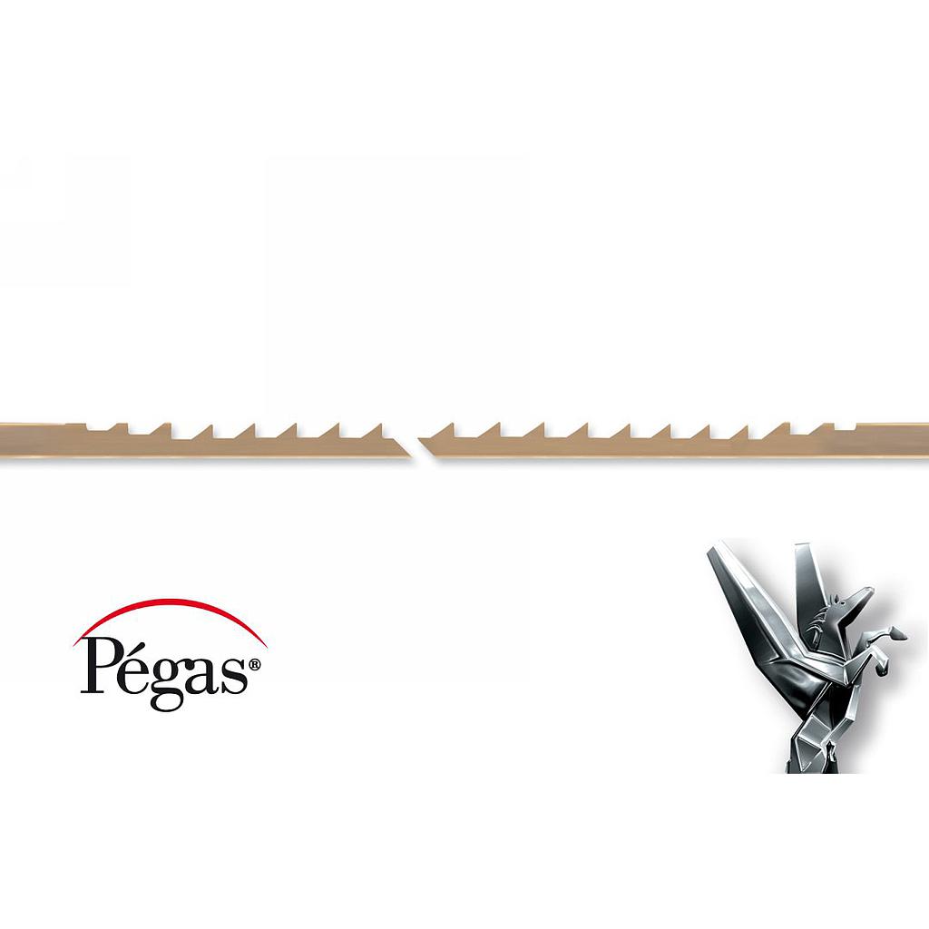 Hoja calar madera Pegas 0 - Gruesa(144u) (90.401B) (copia)